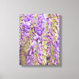 Lienzo Wisteria Violeta de árbol de flores moradas