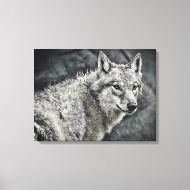 Lienzo WOLF：Canvas Print (Anverso)