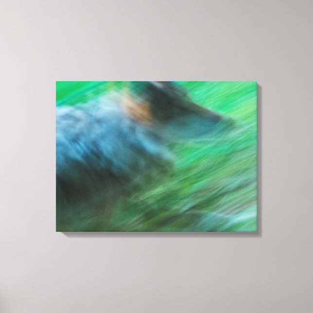 Lienzo Wolf Speed 24" x 18", 1,5", Simple (Anverso)