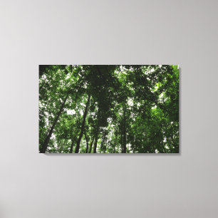 Lienzo Woodland Canopy 01
