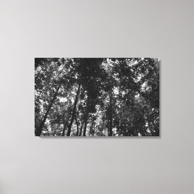Lienzo Woodland Canopy 01 BW (Anverso)