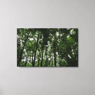 Lienzo Woodland Canopy 02