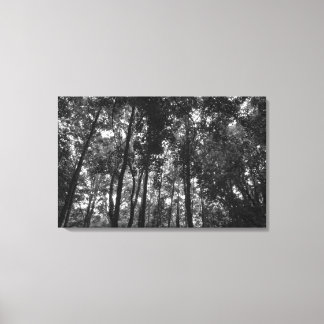 Lienzo Woodland Canopy 02 BW
