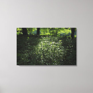 Lienzo Woodland Sunlight 01