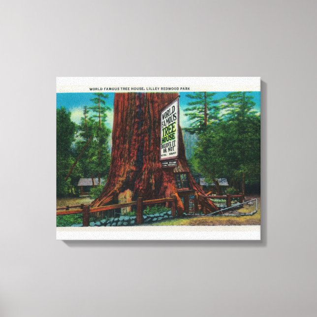 Lienzo World Famous Tree House, Parque Lilley Redwood (Anverso)