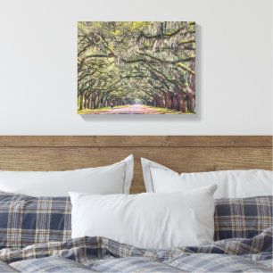 Lienzo Wormsloe Savannah Canvas Wall Art 11x14