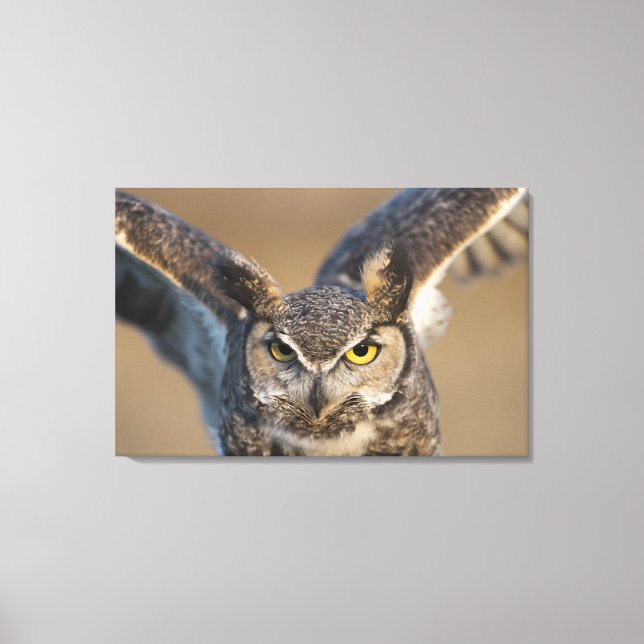 Lienzo Wyoming, EE.UU. (Anverso)