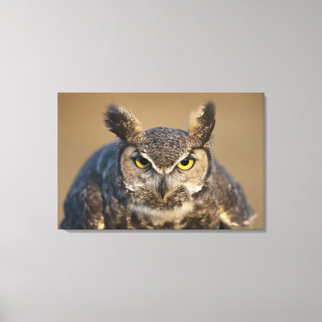 Lienzo wyoming, estados unidos (Anverso)