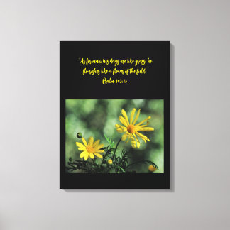 Lienzo Yellow Aster Wildflowers Canvas Print