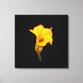 Lienzo Yellow Calla Lilly