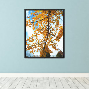Lienzo Yellow Ginkgo Leaves Photographic