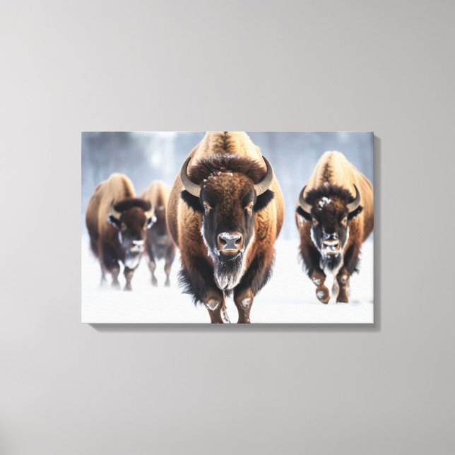 Lienzo Yellowstone Bison Canvas Art (Anverso)