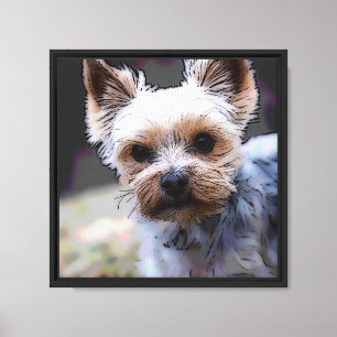 Lienzo Yorkshire terrier, perro, Mascota