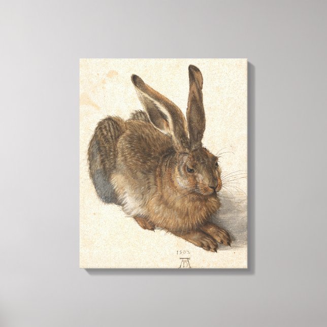 Lienzo Young Hare | Albrecht Dürer (Anverso)