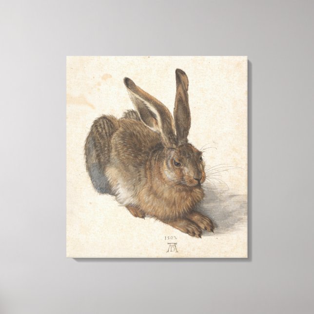 Lienzo Young Hare Albrecht Durer (Anverso)