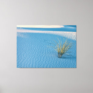 Lienzo Yucca en White Sands