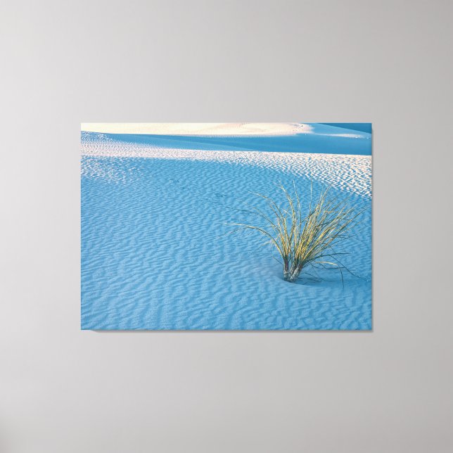 Lienzo Yucca en White Sands (Anverso)
