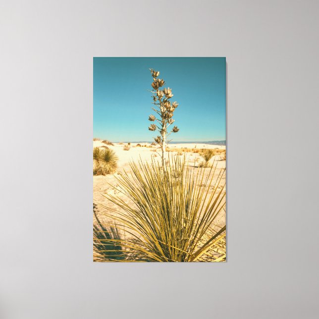 Lienzo Yucca Soaptree en Sanas Blancas (Anverso)