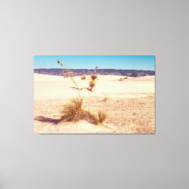 Lienzo Yuccas de arena blanca