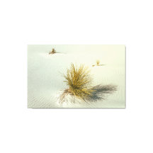 Yuccas en White Sands