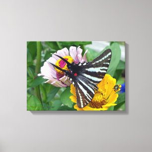 Lienzo Zebra Swallowtail + escarabajo japonés
