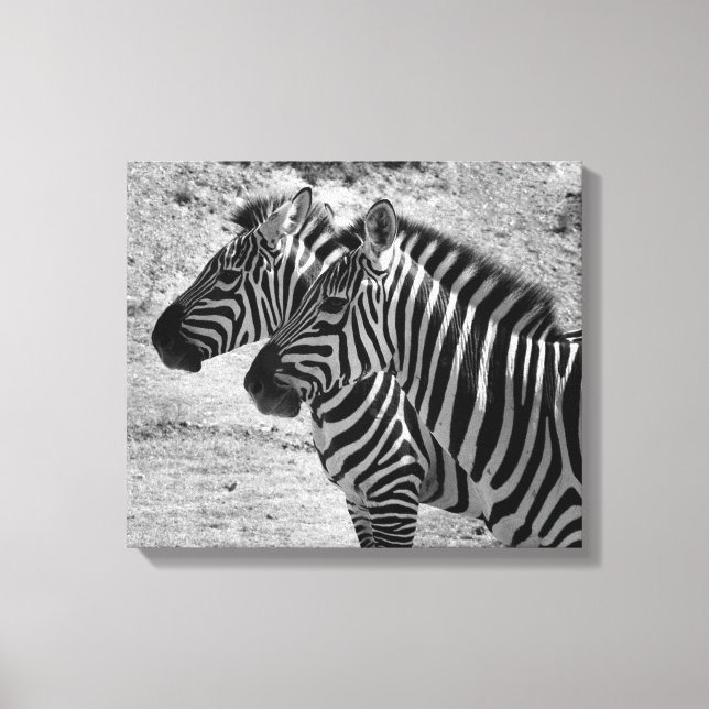 Lienzo Zebras (Anverso)