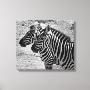 Lienzo Zebras