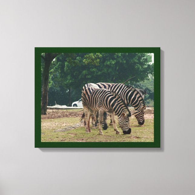 Lienzo Zebras (Anverso)
