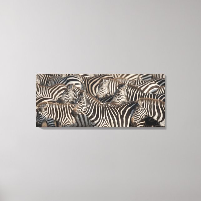 Lienzo Zebras, Kenya, África (Anverso)