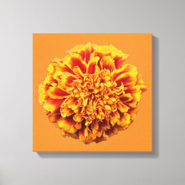 Lienzo Zinnia (Anverso)