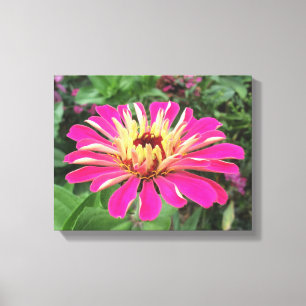 Lienzo ZINNIA - Crema y rosa vibrante -