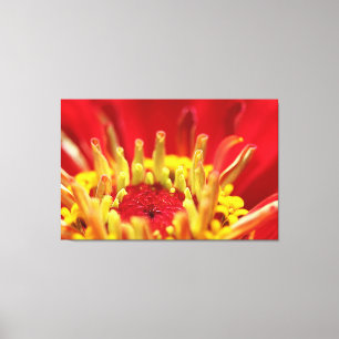 Lienzo Zinnia Flower Heart