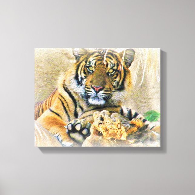 Lienzo Zona de confort_ (Anverso)