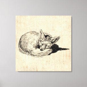 Lienzo Zorro dormido Animal de época ilustrado Art Cute