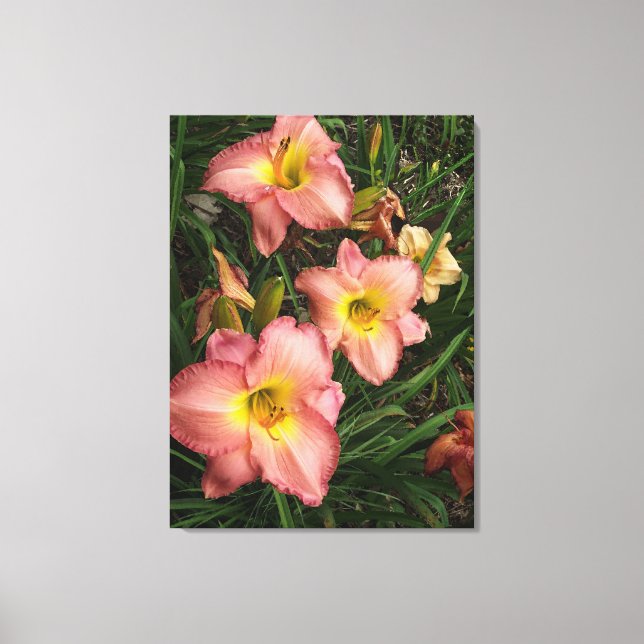 Lienzos de Daylilies rosados (Anverso)