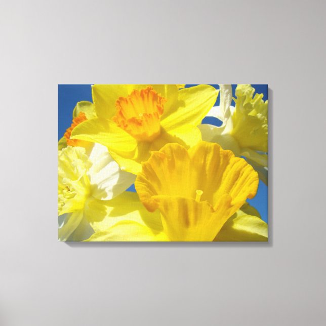 Lienzos de fotografía de narcisos Impresiones de v (Anverso)