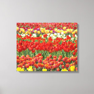 Lienzos de naturaleza impresos Flores de tulipán p
