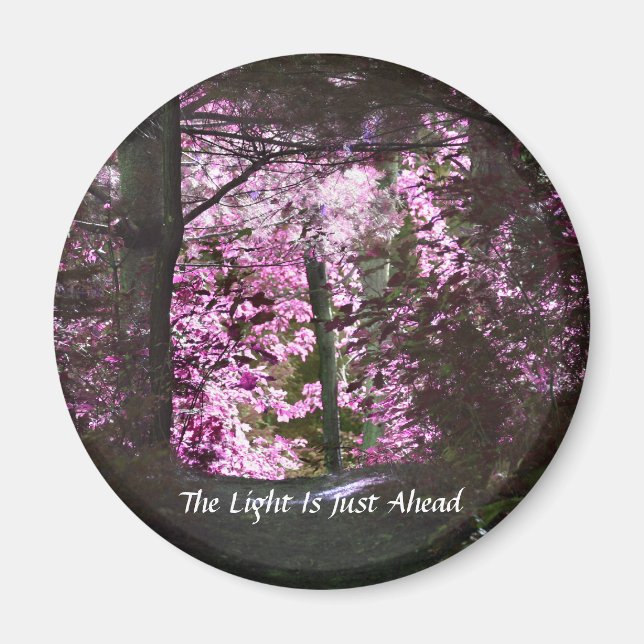 Ligera hacia adelante en el imán Inspirador de sen (Frente)