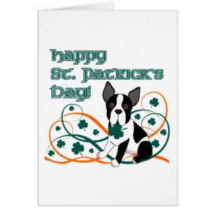 Lil afortunado Terrier