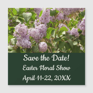 Lilac Bush hermosas flores de primavera morada