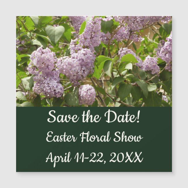 Lilac Bush hermosas flores de primavera morada (Anverso)