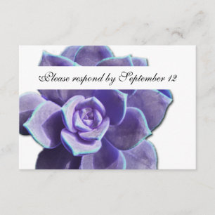 Lilac Succulent Vintage rsvp