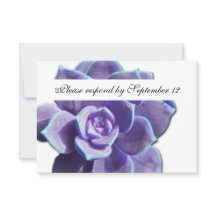 Lilac Succulent Vintage rsvp