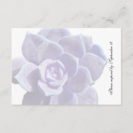 Lilac translúcido Succulum Rsvp