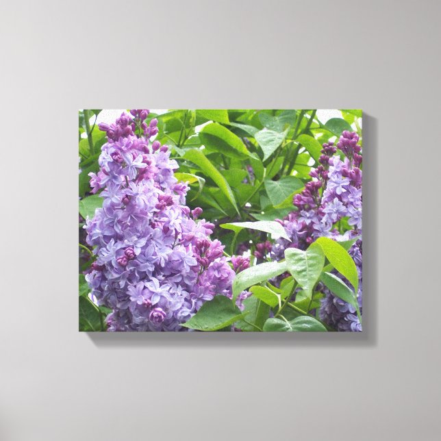 Lilacs de arte canvas (Anverso)