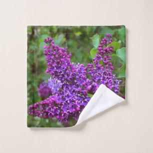 Lilacs morados en el día de primavera