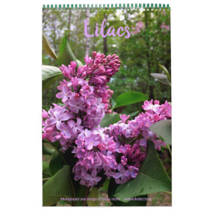 Lilacs—TODOS LOS LILACOS!!  calendario fotográfico