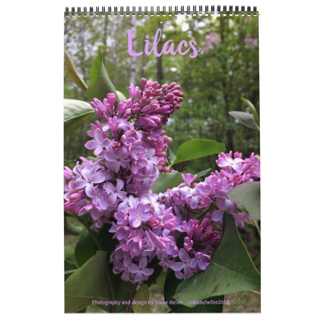 Lilacs—TODOS LOS LILACOS!!  calendario fotográfico (Tapa)