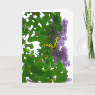 Lilas y tarjeta amarilla de la mariposa de