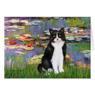 Lilies 2 - Gato blanco y negro